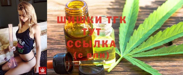 дживик Новозыбков