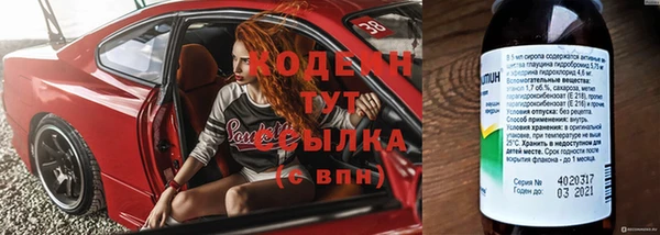 дживик Новозыбков
