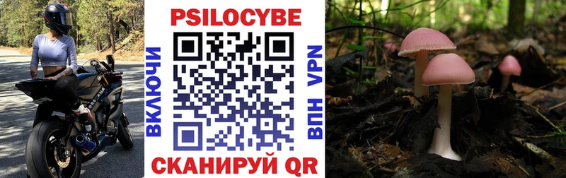 MEGA ССЫЛКА  Тамбов  Псилоцибиновые грибы MAGIC MUSHROOMS 