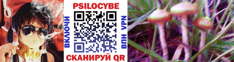 Псилоцибиновые грибы Psilocybe Тамбов