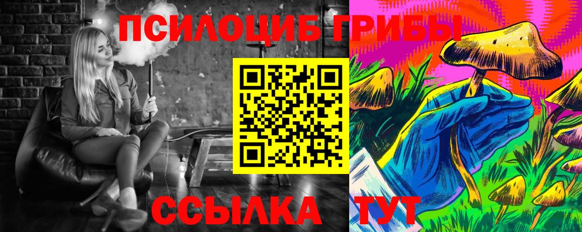 Псилоцибиновые грибы Psilocybe  Псилоцибиновые грибы прущие грибы  Вход с VPN  Тамбов 